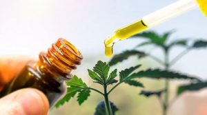 CBD